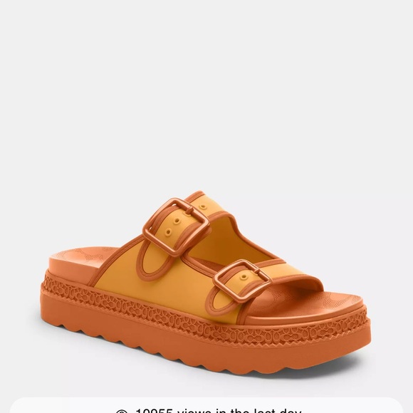 Brand New Never Worn Orange Coach Sandals Size 7 - Picture 1 of 3